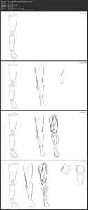 Dynamic Anatomy for Artists - Muscles of the Leg