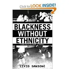 Blackness Without Ethnicity: Race and Construction of Black Identity in Brazil