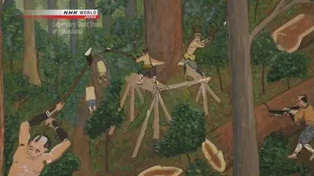 NHK - Legendary Giant Tree of Yakushima (2017)