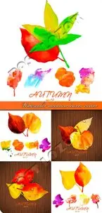 Watercolor autumn leaves vector