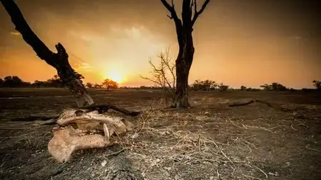 BBC - Africa 2013: Countdown To The Rains