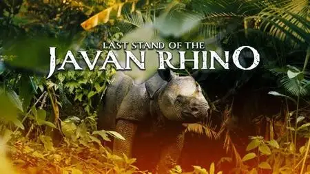 Curiosity Stream - Last Stand of the Javan Rhino (2021)