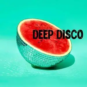 Airbuzz Recordings Deep Disco WAV