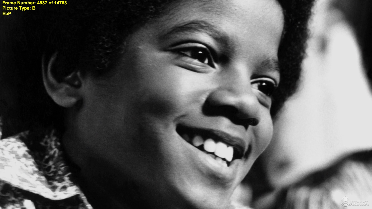Майкл Джексон: Жизнь поп-иконы / Michael Jackson: The Life of an Icon (2011)