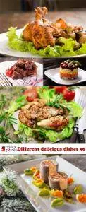 Photos - Different delicious dishes 36