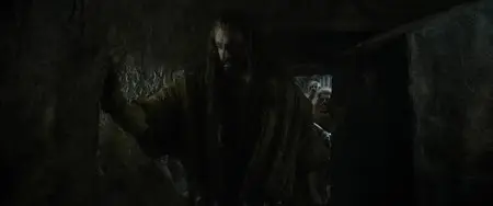 The Hobbit: The Desolation of Smaug/Le Hobbit: La désolation de Smaug (2013)