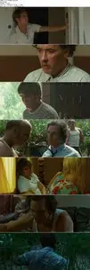 The Paperboy (2012)