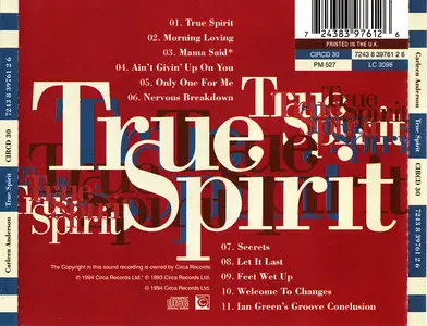 Carleen Anderson - True Spirit (1994)