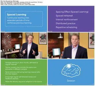 Lynda - Brain-Based eLearning Design