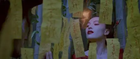 Shen tan Pu Song Ling / The Knight of Shadows: Between Yin and Yang (2019)