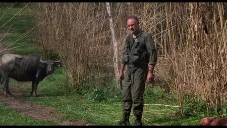 Bat*21 (1988)