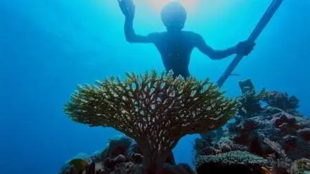 BBC - Earth's Tropical Islands (2020)