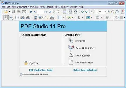 Qoppa PDF Studio Pro 11.0.7 Multilingual (x64) Portable