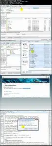 Easy Wordpress Installation