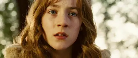 The Lovely Bones (2009)