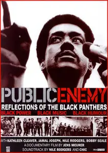 Public Enemy: Reflections of The Black Panthers (1999)
