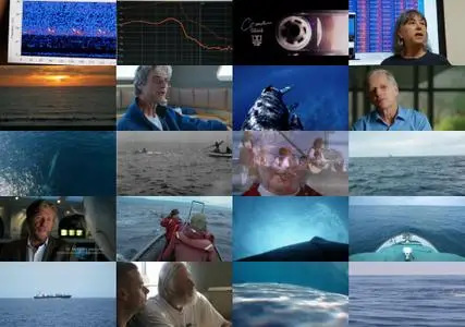 The Loneliest Whale: The Search for 52 (2021)