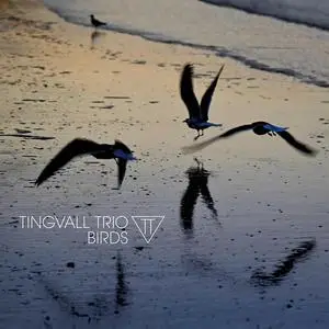 Tingvall Trio - Birds (2023) [Official Digital Download 24/96]