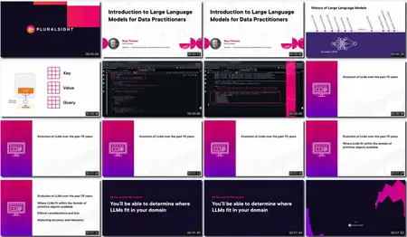 Introduction to Large Language Models for Data Practitioners