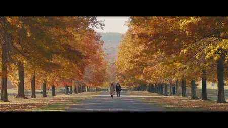 Master of None S02E09