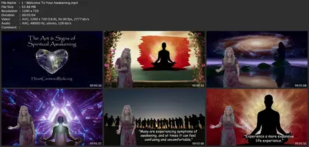 Heart Centered Reiki/The Art & Signs Of Spiritual Awakening
