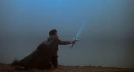 The Sword and the Sorcerer (1982)