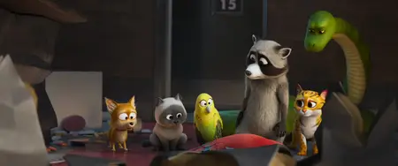 Falcon Express / Pets on A Train (2025)