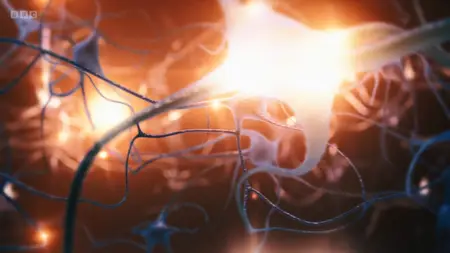 BBC Horizon - Secrets of the Brain (2025)
