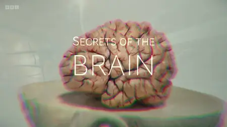 BBC Horizon - Secrets of the Brain (2025)