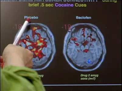 Addiction (2007)