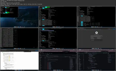 Demythifying Linux Virus Engineering