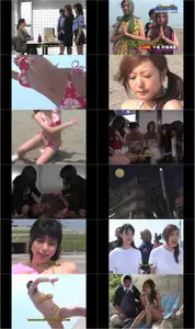 Beach Volleyball Detectives (2007)