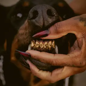 Leon Thomas - MUTT Deluxe- HEEL (2025) [Official Digital Download]
