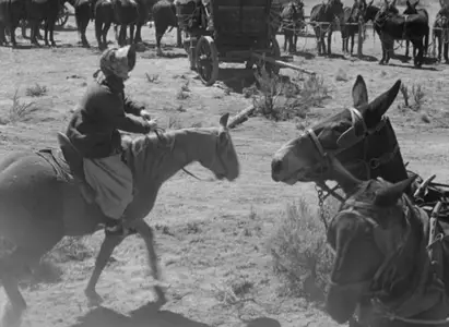 Westward the Women (1951)