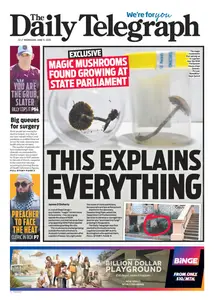The Daily Telegraph Australia - 11 June 2025