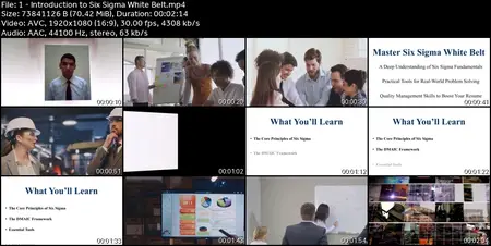 Six Sigma White Belt Training & Certification + 6 Languages