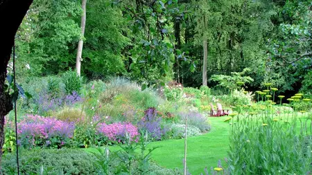The Fundamentals of Landscape Planting Design