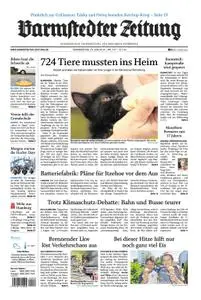 Barmstedter Zeitung - 27. Juni 2019