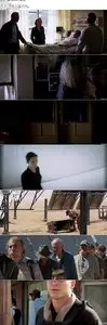 Transcendence (2014)