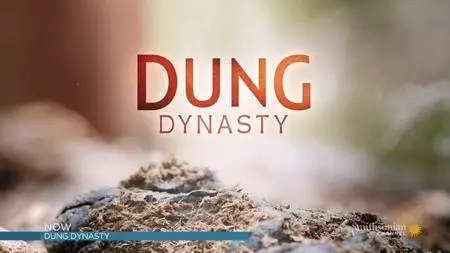 Smithsonian Channel - Dung Dynasty (2018)