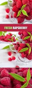 Stock Photo - Fresh Rapsberry