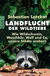 Landflucht der Wildtiere: Wie Wildschwein, Waschbär, Wolf und Co. unsere Städte erobern