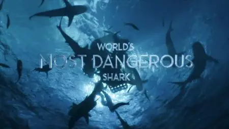 Smithsonian Ch. - World's Most Dangerous Shark (2020)
