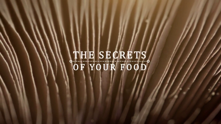 BBC - The Secrets of Your Food: Series 1 (2017)