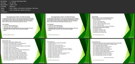 Sas Programing On Reports And Tables Generating