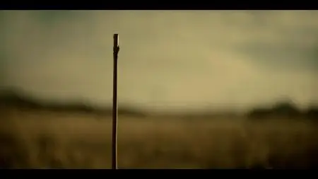 Perpetual Grace LTD S01E05