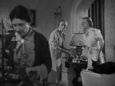 Theodora Goes Wild (1936)