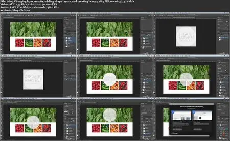 Photoshop 2020 Essential Training: The Basics