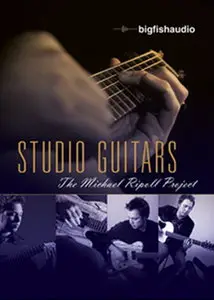 Big Fish Audio - Studio Guitars: The Michael Ripoll Project (MULTiFORMAT)