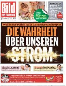 Bild am Sonntag - 12. November 2017